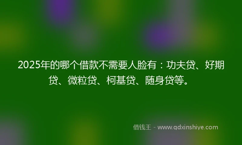 2025年的哪个借款不需要人脸有：功夫贷、好期贷、微粒贷、柯基贷、随身贷等。