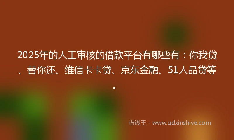 2025年的人工审核的借款平台有哪些有：你我贷、替你还、维信卡卡贷、京东金融、51人品贷等。
