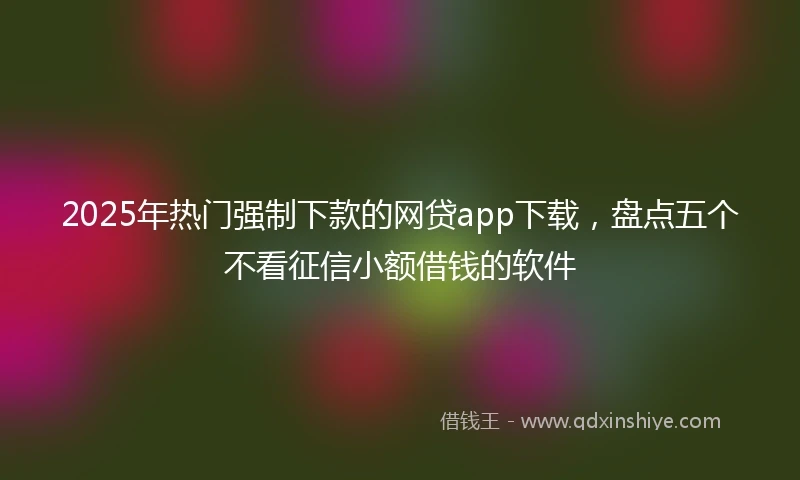 2025年热门强制下款的网贷app下载，盘点五个不看征信小额借钱的软件