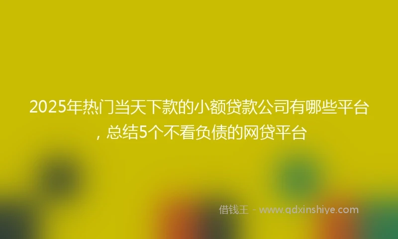 2025年热门当天下款的小额贷款公司有哪些平台，总结5个不看负债的网贷平台