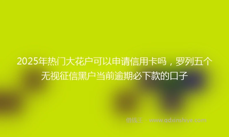 2025年热门大花户可以申请信用卡吗，罗列五个无视征信黑户当前逾期必下款的口子