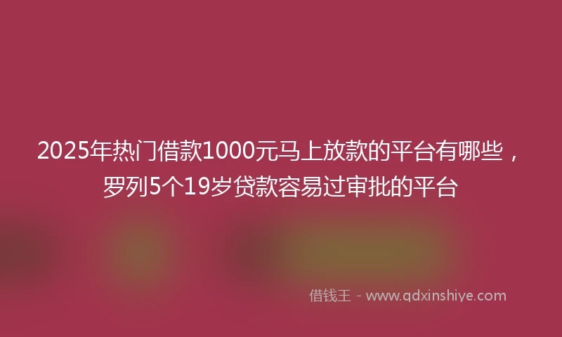 2025年热门借款1000元马上放款的平台有哪些，罗列5个19岁贷款容易过审批的平台