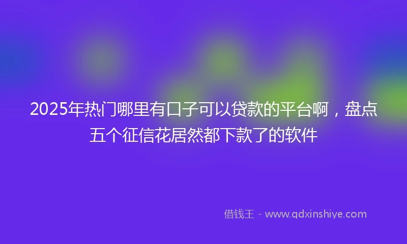 2025年热门哪里有口子可以贷款的平台啊，盘点五个征信花居然都下款了的软件