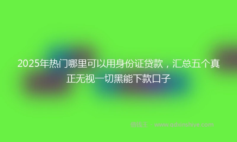2025年热门哪里可以用身份证贷款，汇总五个真正无视一切黑能下款口子