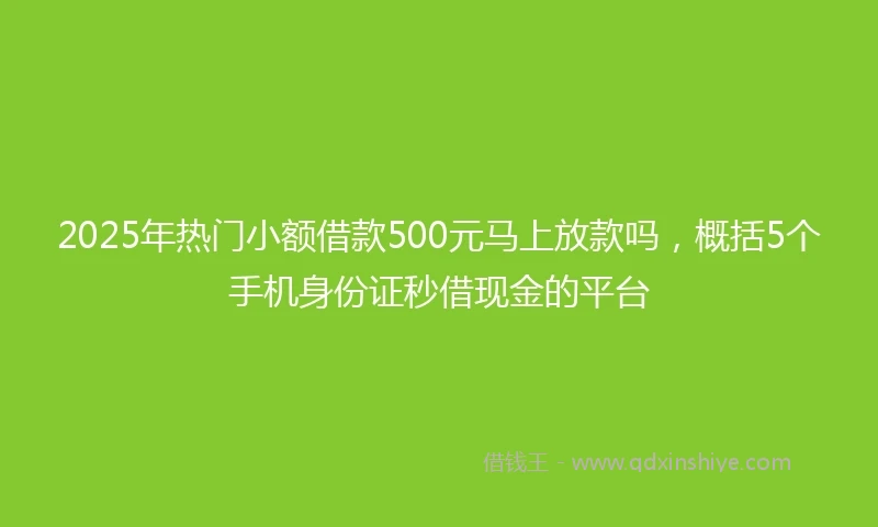 2025年热门小额借款500元马上放款吗，概括5个手机身份证秒借现金的平台