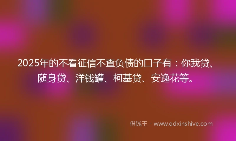 2025年的不看征信不查负债的口子有：你我贷、随身贷、洋钱罐、柯基贷、安逸花等。