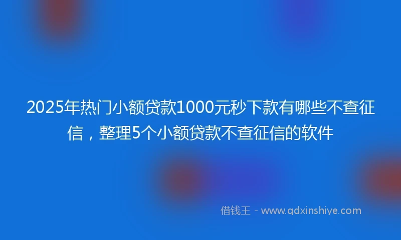 2025年热门小额贷款1000元秒下款有哪些不查征信，整理5个小额贷款不查征信的软件