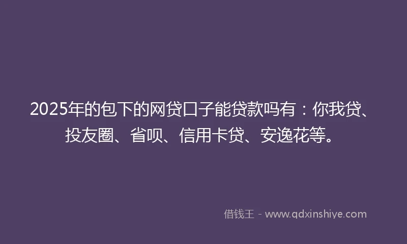 2025年的包下的网贷口子能贷款吗有：你我贷、投友圈、省呗、信用卡贷、安逸花等。