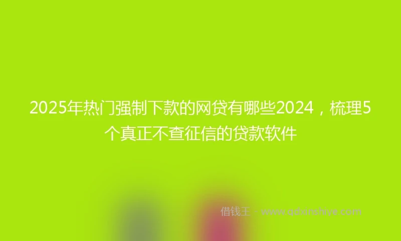 2025年热门强制下款的网贷有哪些2024，梳理5个真正不查征信的贷款软件