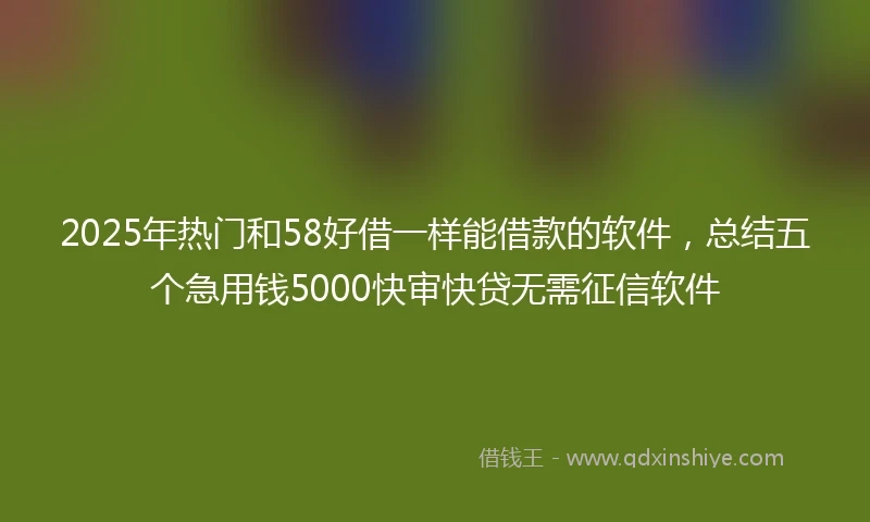 2025年热门和58好借一样能借款的软件,总结五个急用钱5000快审快贷无需征信软件