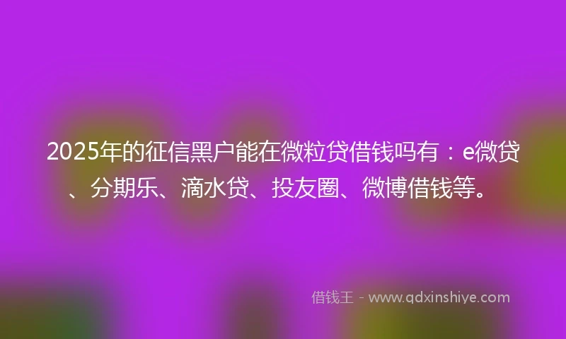 2025年的征信黑户能在微粒贷借钱吗有：e微贷、分期乐、滴水贷、投友圈、微博借钱等。