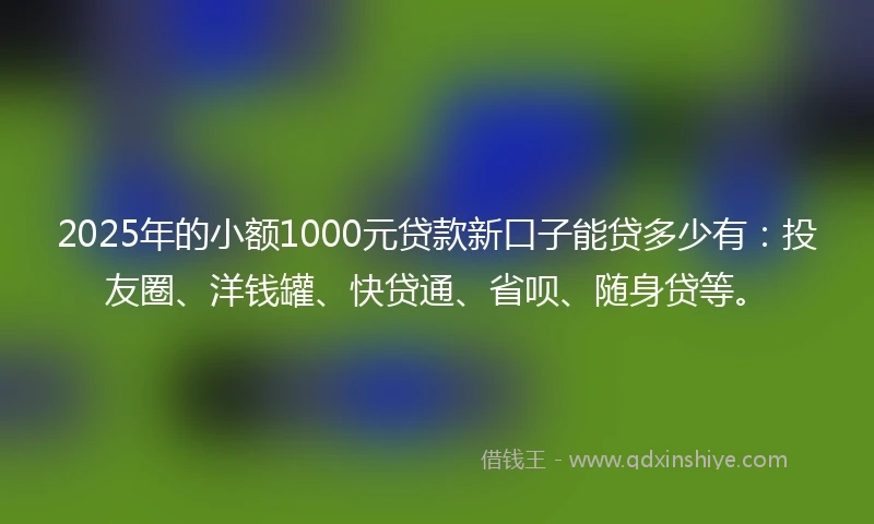 2025年的小额1000元贷款新口子能贷多少有：投友圈、洋钱罐、快贷通、省呗、随身贷等。