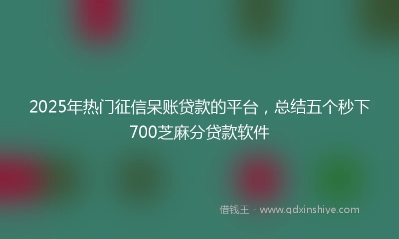 2025年热门征信呆账贷款的平台，总结五个秒下700芝麻分贷款软件
