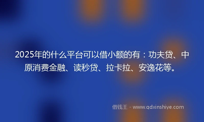 2025年的什么平台可以借小额的有：功夫贷、中原消费金融、读秒贷、拉卡拉、安逸花等。