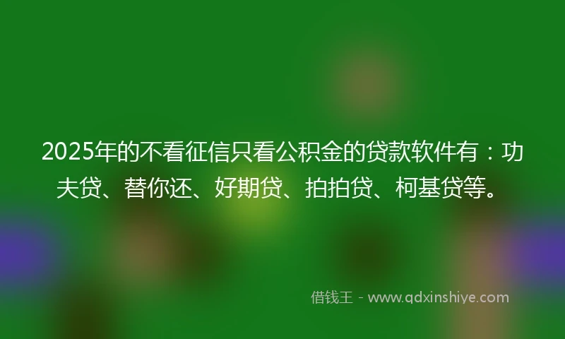 2025年的不看征信只看公积金的贷款软件有：功夫贷、替你还、好期贷、拍拍贷、柯基贷等。