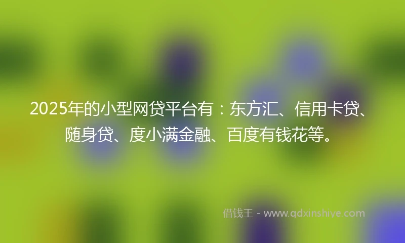 2025年的小型网贷平台有：东方汇、信用卡贷、随身贷、度小满金融、百度有钱花等。