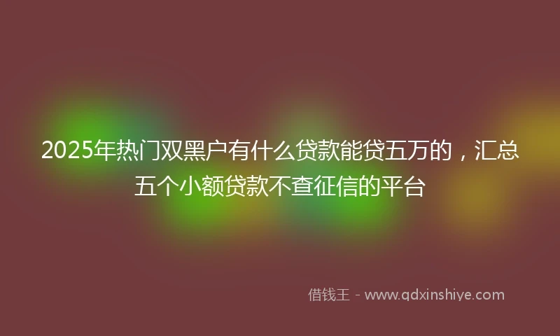 2025年热门双黑户有什么贷款能贷五万的，汇总五个小额贷款不查征信的平台