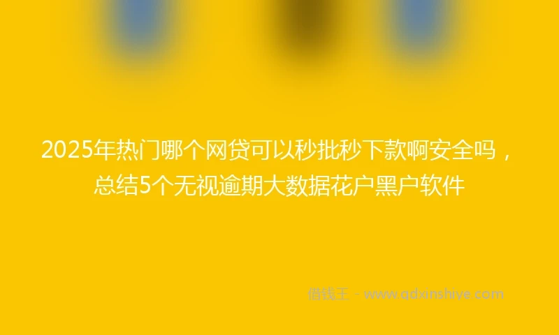 2025年热门哪个网贷可以秒批秒下款啊安全吗，总结5个无视逾期大数据花户黑户软件