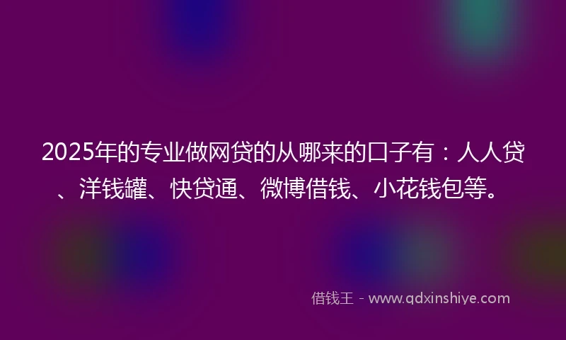 2025年的专业做网贷的从哪来的口子有：人人贷、洋钱罐、快贷通、微博借钱、小花钱包等。