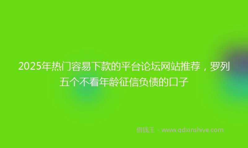 2025年热门容易下款的平台论坛网站推荐，罗列五个不看年龄征信负债的口子