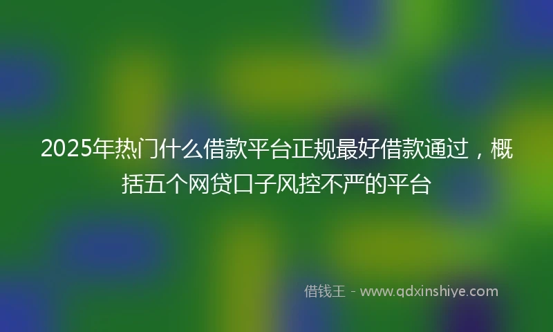 2025年热门什么借款平台正规最好借款通过，概括五个网贷口子风控不严的平台