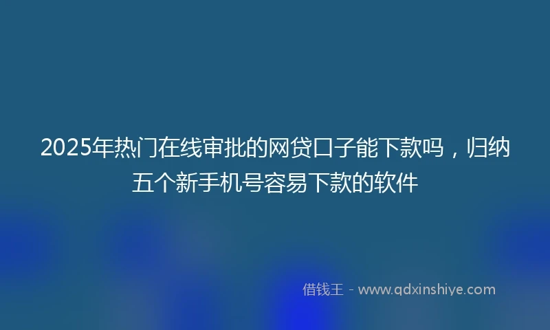 2025年热门在线审批的网贷口子能下款吗，归纳五个新手机号容易下款的软件