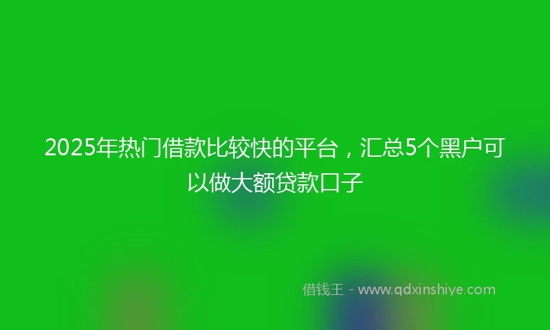 2025年热门借款比较快的平台，汇总5个黑户可以做大额贷款口子