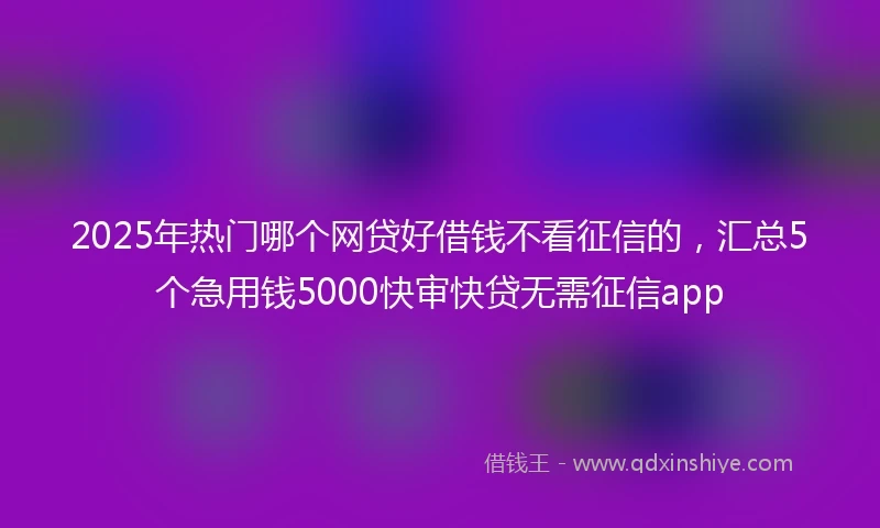 2025年热门哪个网贷好借钱不看征信的，汇总5个急用钱5000快审快贷无需征信app
