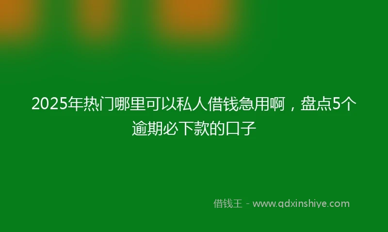 2025年热门哪里可以私人借钱急用啊，盘点5个逾期必下款的口子