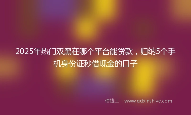2025年热门双黑在哪个平台能贷款，归纳5个手机身份证秒借现金的口子