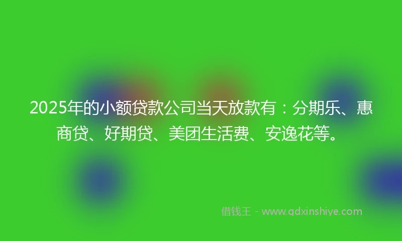 2025年的小额贷款公司当天放款有：分期乐、惠商贷、好期贷、美团生活费、安逸花等。