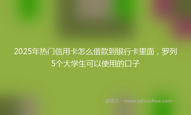 2025年热门信用卡怎么借款到银行卡里面，罗列5个大学生可以使用的口子