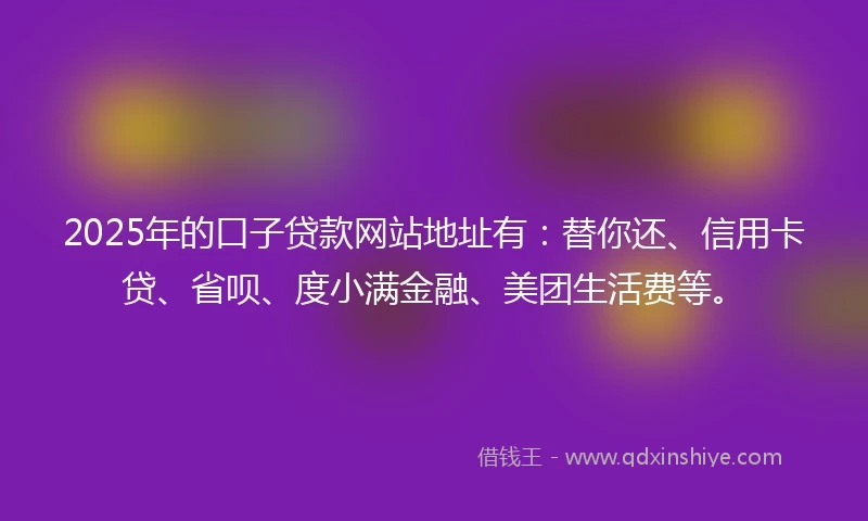 2025年的口子贷款网站地址有：替你还、信用卡贷、省呗、度小满金融、美团生活费等。