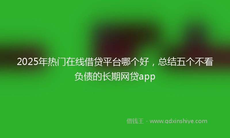 2025年热门在线借贷平台哪个好，总结五个不看负债的长期网贷app