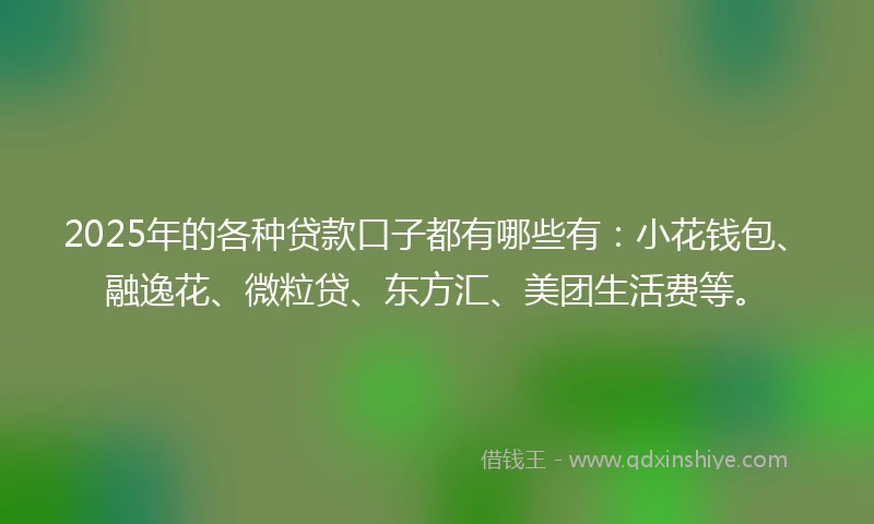 2025年的各种贷款口子都有哪些有：小花钱包、融逸花、微粒贷、东方汇、美团生活费等。