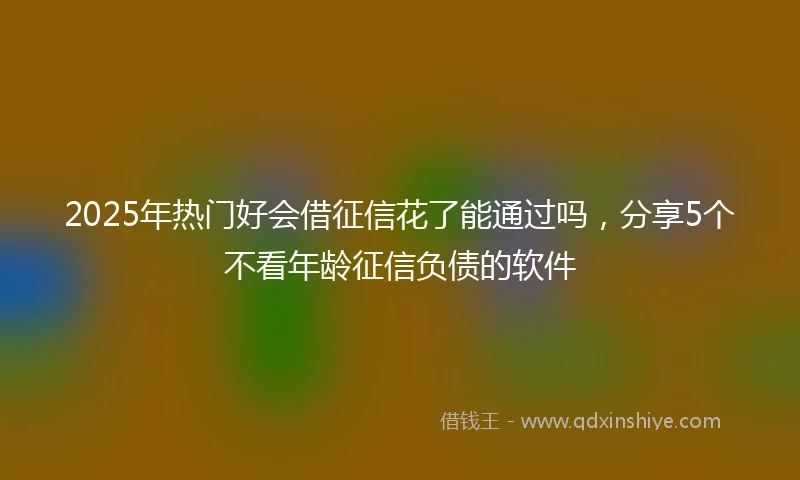 2025年热门好会借征信花了能通过吗，分享5个不看年龄征信负债的软件