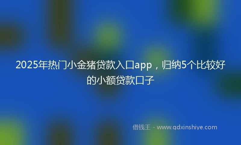 2025年热门小金猪贷款入口app，归纳5个比较好的小额贷款口子
