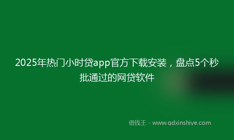 2025年热门小时贷app官方下载安装，盘点5个秒批通过的网贷软件