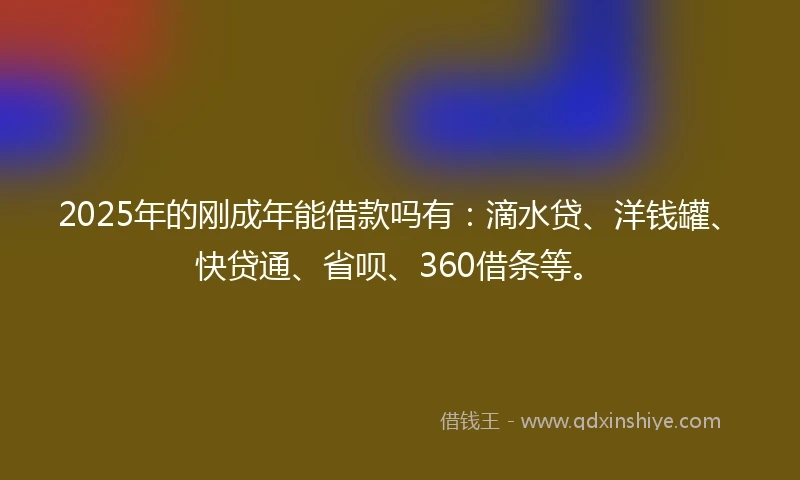 2025年的刚成年能借款吗有：滴水贷、洋钱罐、快贷通、省呗、360借条等。