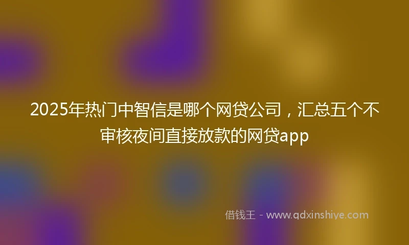 2025年热门中智信是哪个网贷公司，汇总五个不审核夜间直接放款的网贷app