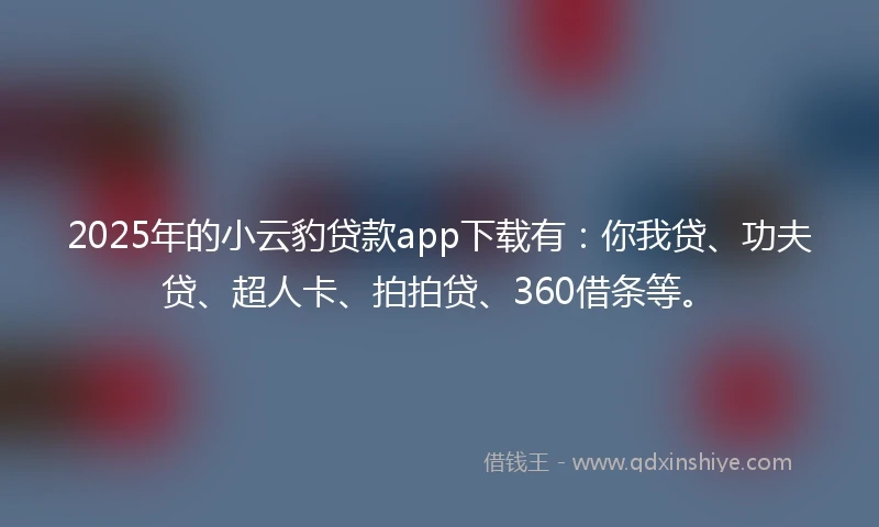 2025年的小云豹贷款app下载有:你我贷、功夫贷、超人卡、拍拍贷、360借条等。