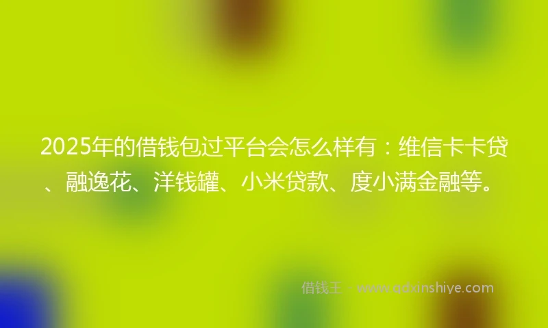 2025年的借钱包过平台会怎么样有：维信卡卡贷、融逸花、洋钱罐、小米贷款、度小满金融等。
