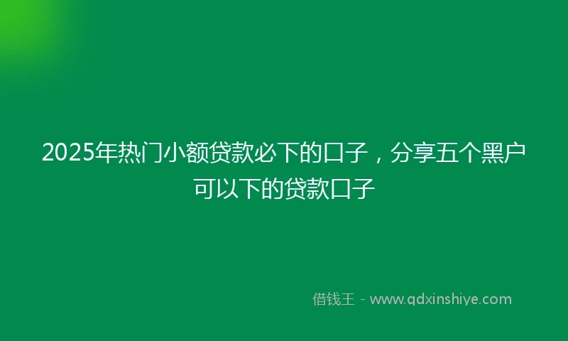 2025年热门小额贷款必下的口子，分享五个黑户可以下的贷款口子