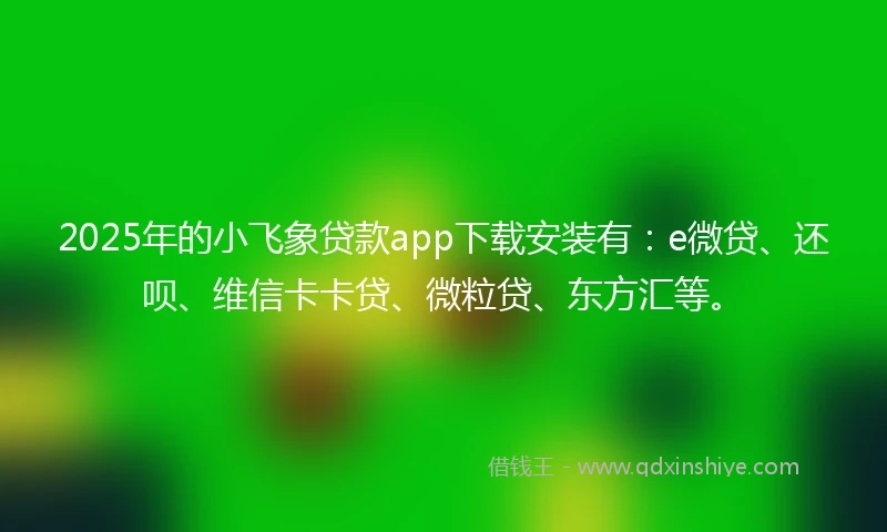 2025年的小飞象贷款app下载安装有：e微贷、还呗、维信卡卡贷、微粒贷、东方汇等。