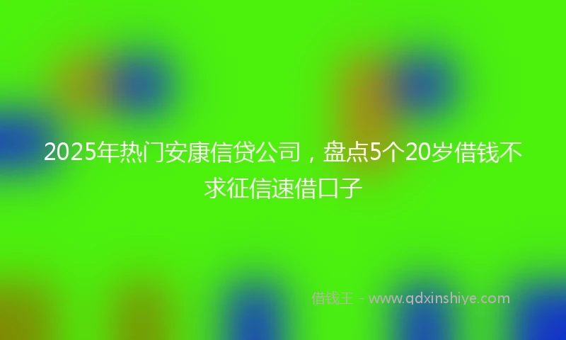 2025年热门安康信贷公司，盘点5个20岁借钱不求征信速借口子