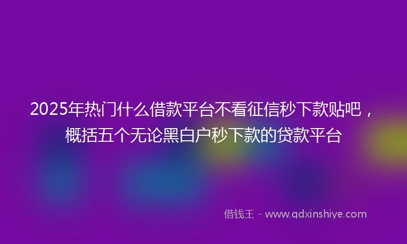 2025年热门什么借款平台不看征信秒下款贴吧，概括五个无论黑白户秒下款的贷款平台