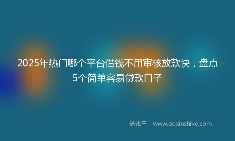 2025年热门哪个平台借钱不用审核放款快，盘点5个简单容易贷款口子