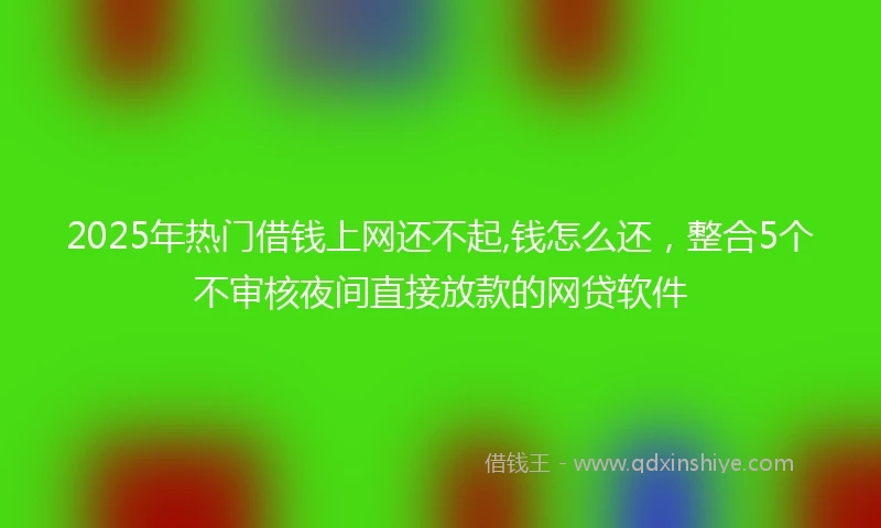 2025年热门借钱上网还不起,钱怎么还，整合5个不审核夜间直接放款的网贷软件