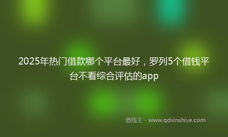 2025年热门借款哪个平台最好，罗列5个借钱平台不看综合评估的app