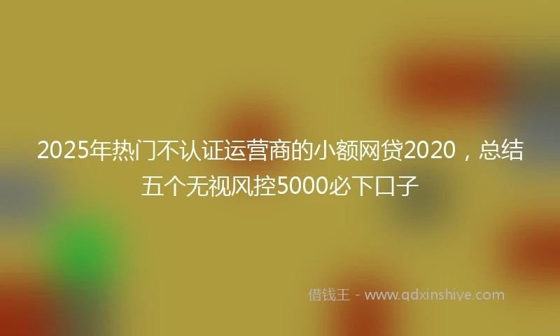 2025年热门不认证运营商的小额网贷2020，总结五个无视风控5000必下口子